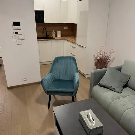 Eurovea Tower River View Down Town 公寓 布拉迪斯拉发